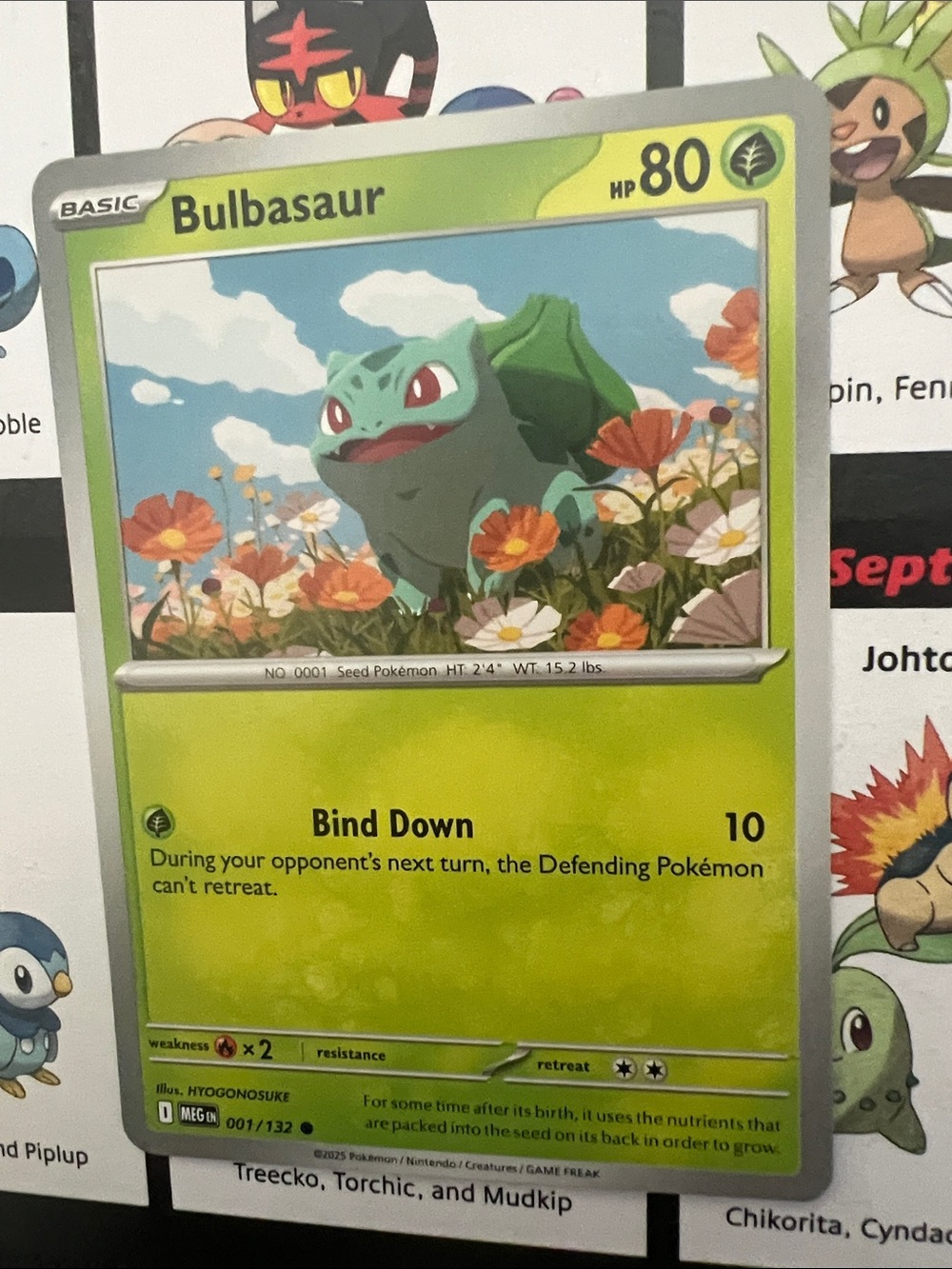Pokemon Bulbasaur Card - Green, Blue, Orange